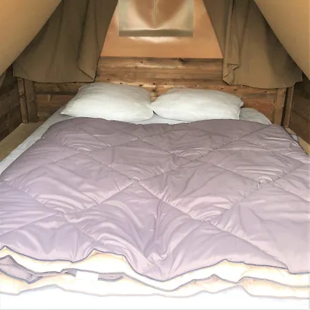 Bois Et Toiles